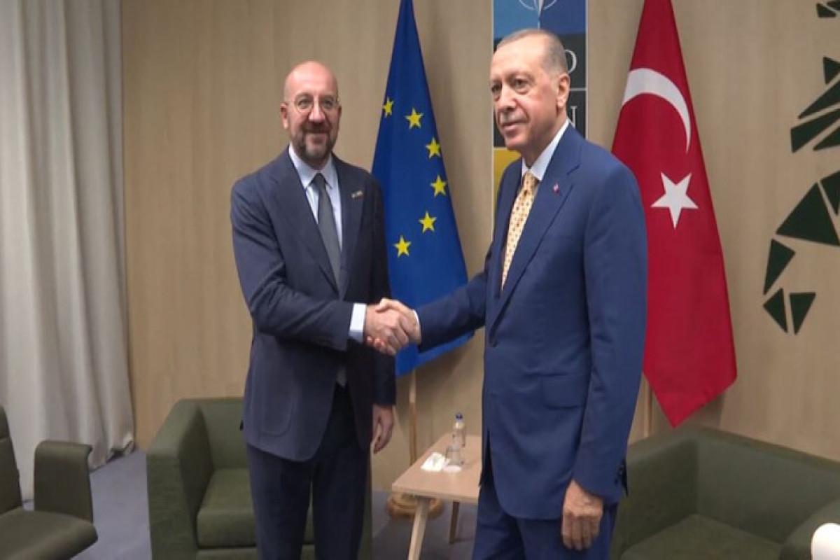 Ərdoğan Şarl Mişellə görüşdü 