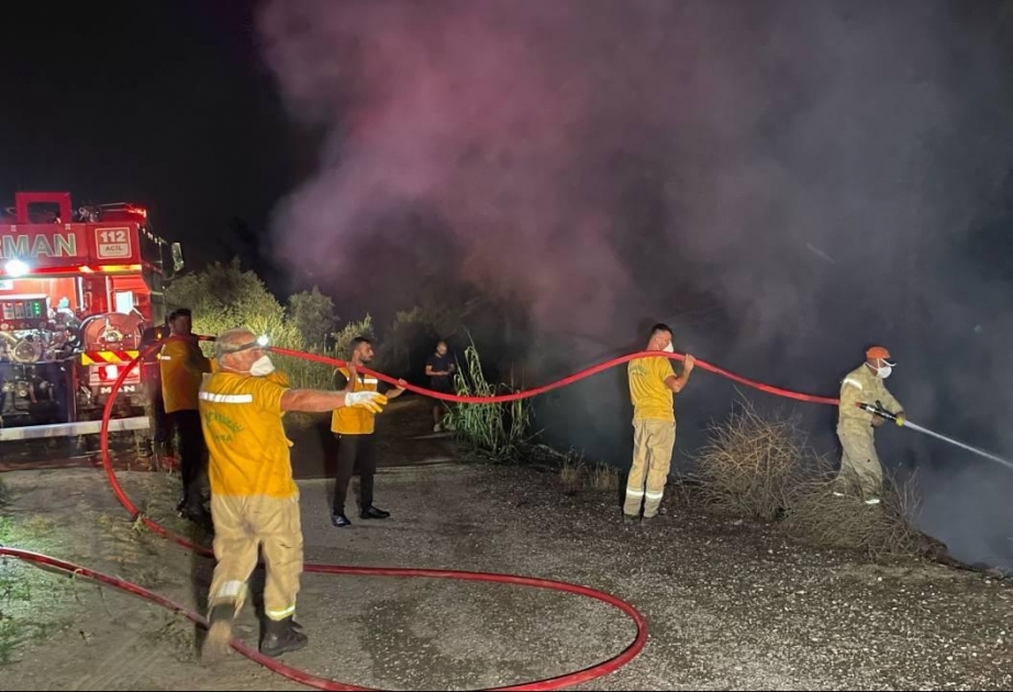 Bursada meşə yanğını - Saxlanılan var