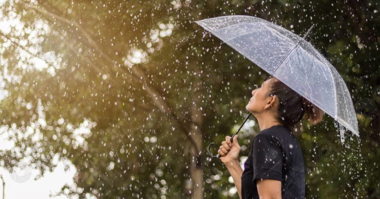 Günün havası: Yağış, 36 dərəcə isti...