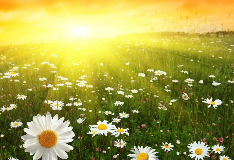 Günün havası - 36 dərəcə isti, yağış