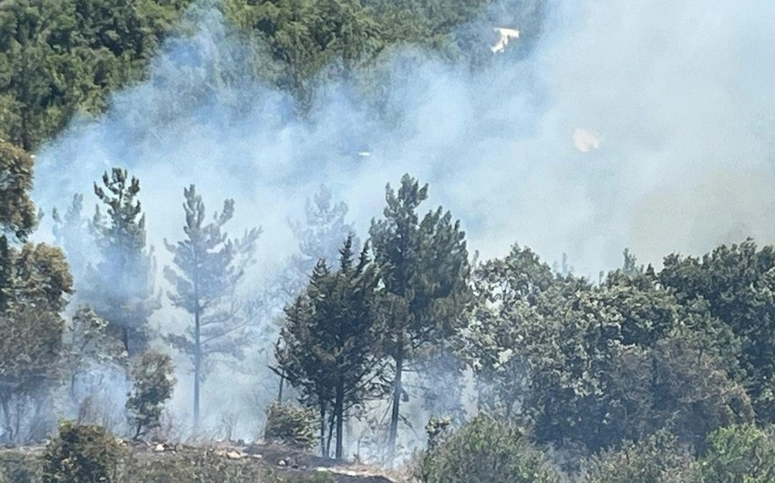 Osmaniyədə meşə yanğını - FOTO