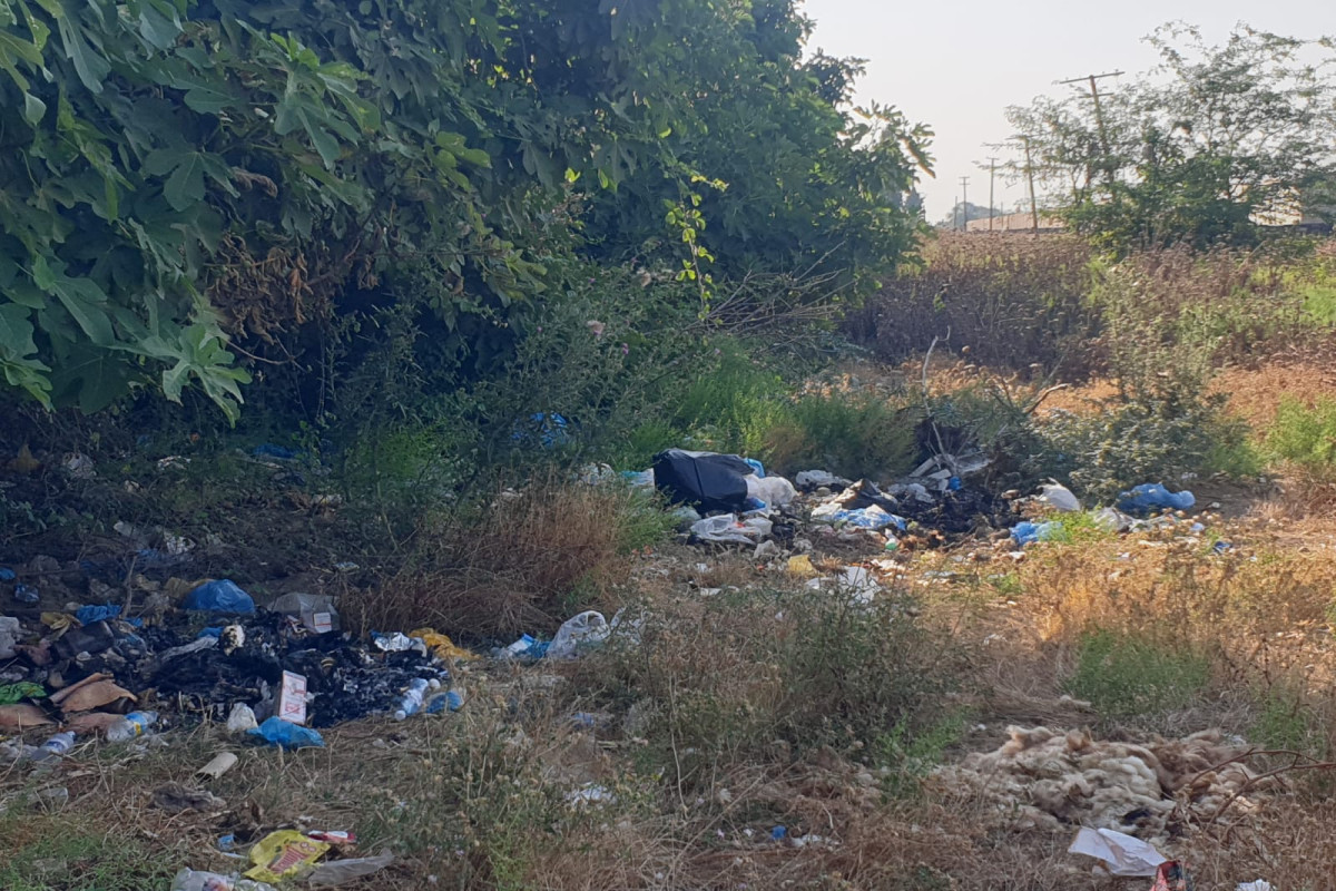 Masallıda ətraf mühiti zibilləyənlər CƏZALANDIRILDI