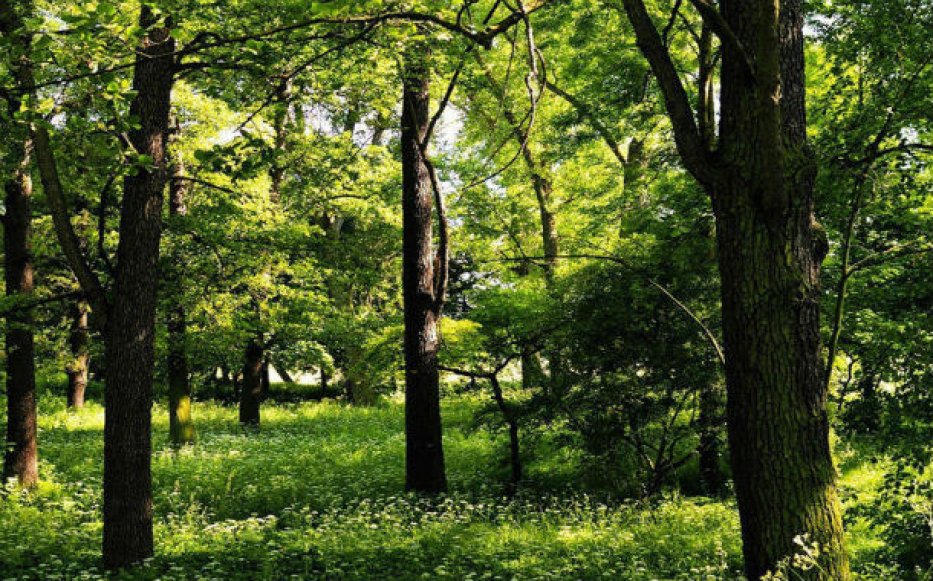 Payız əkin mövsümü hazırlıqlarına başlanılıb