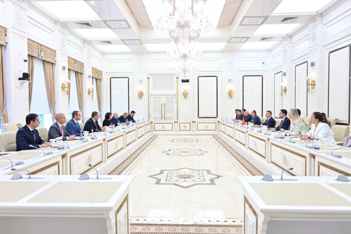 Sahibə Qafarova Fuat Oktayla danışıqlar apardı