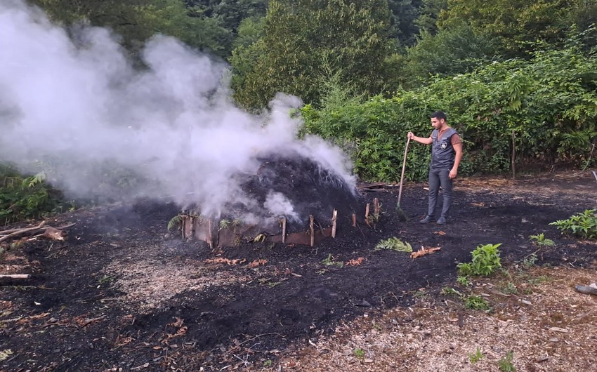 Lerikdə qanunsuz kömür quyusu aşkarlandı