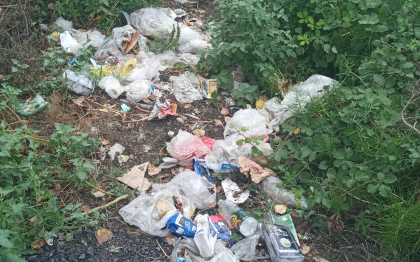 İsmayıllıda vəzifəli şəxs inzibati məsuliyyətə cəlb edildi