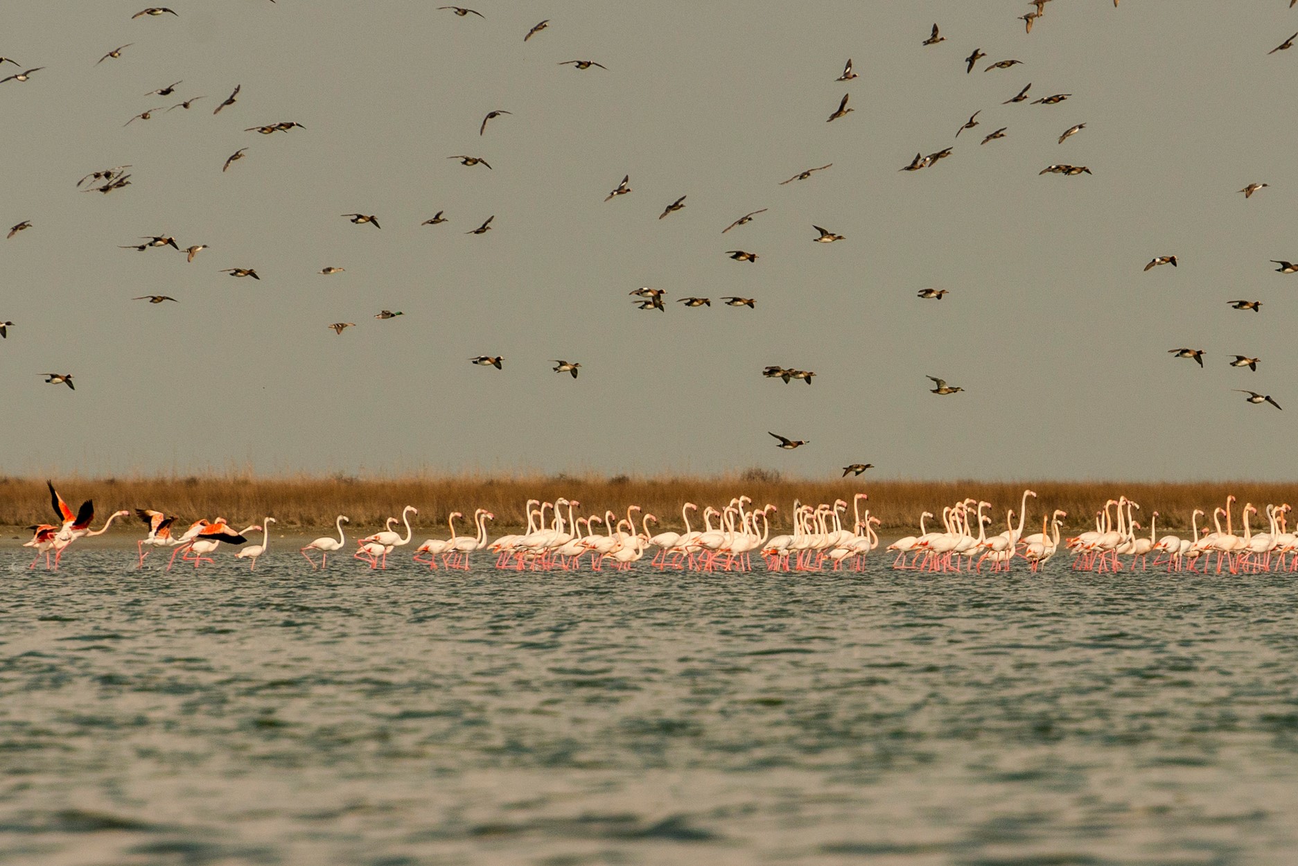 Yarımadadan adaya çevrilən Kür-dili