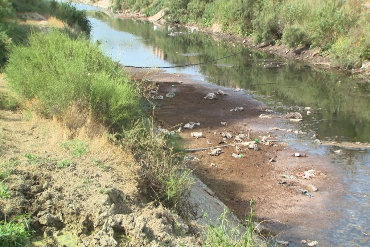Samur-Abşeron kanalını çirkləndirənlər cərimələndi - VİDEO