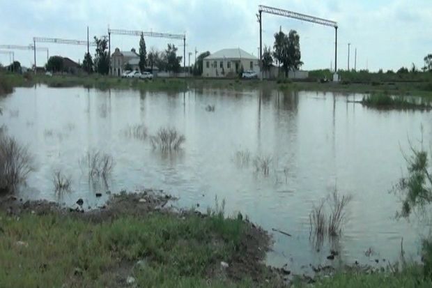 Goranboyda sel fəsadlar törətdi - Heyvanlar tələf oldu