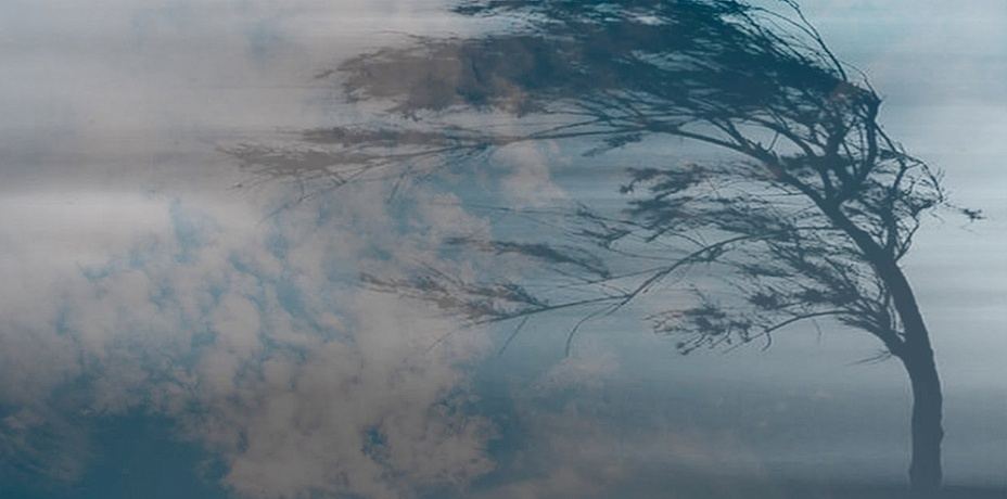 Temperatur ötən illə müqayisədə 3-5º aşağı olub