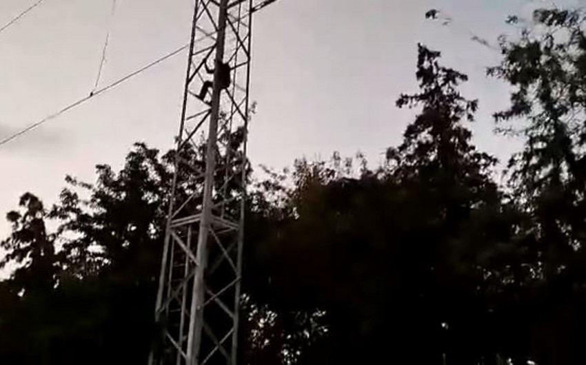 İşıq dirəyinə çıxaraq intihar etmək İSTƏDİ