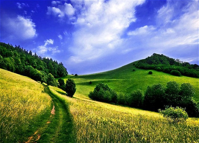 Sabah 37 dərəcə isti olacaq - PROQNOZ