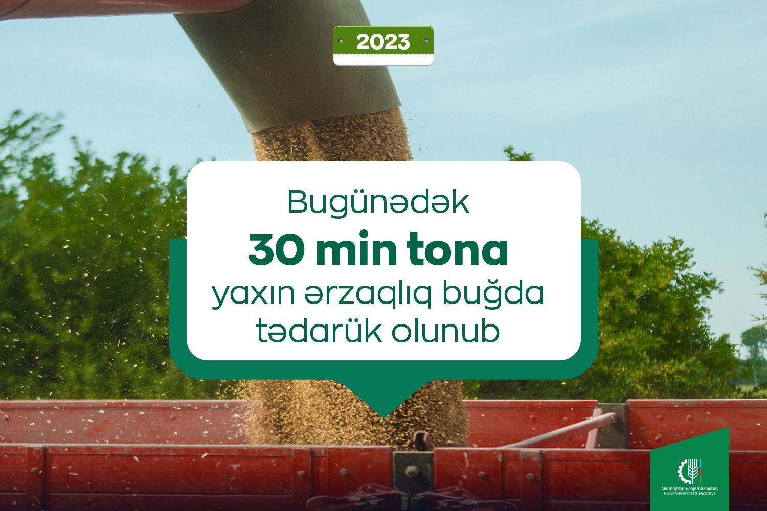 30 min ton ərzaqlıq buğda tədarük olunub