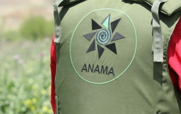 ANAMA işçi axtarır