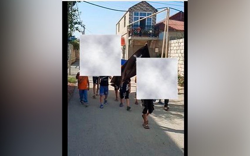 Azyaşlıları yürüşə cəlb edən şəxs TUTULDU 