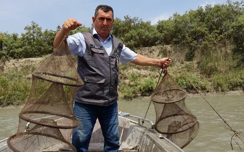 Qanunsuz ov edənlər cəzalandırıldı