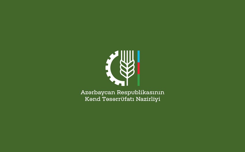 Şəkidə Aqrar İnnovasiya Festivalı keçiriləcək