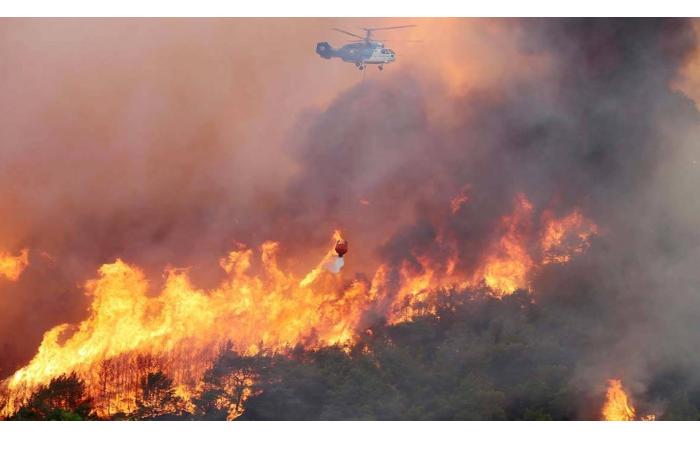 Kahramanmaraşda meşə yanğını - Helikopterlər cəlb edildi