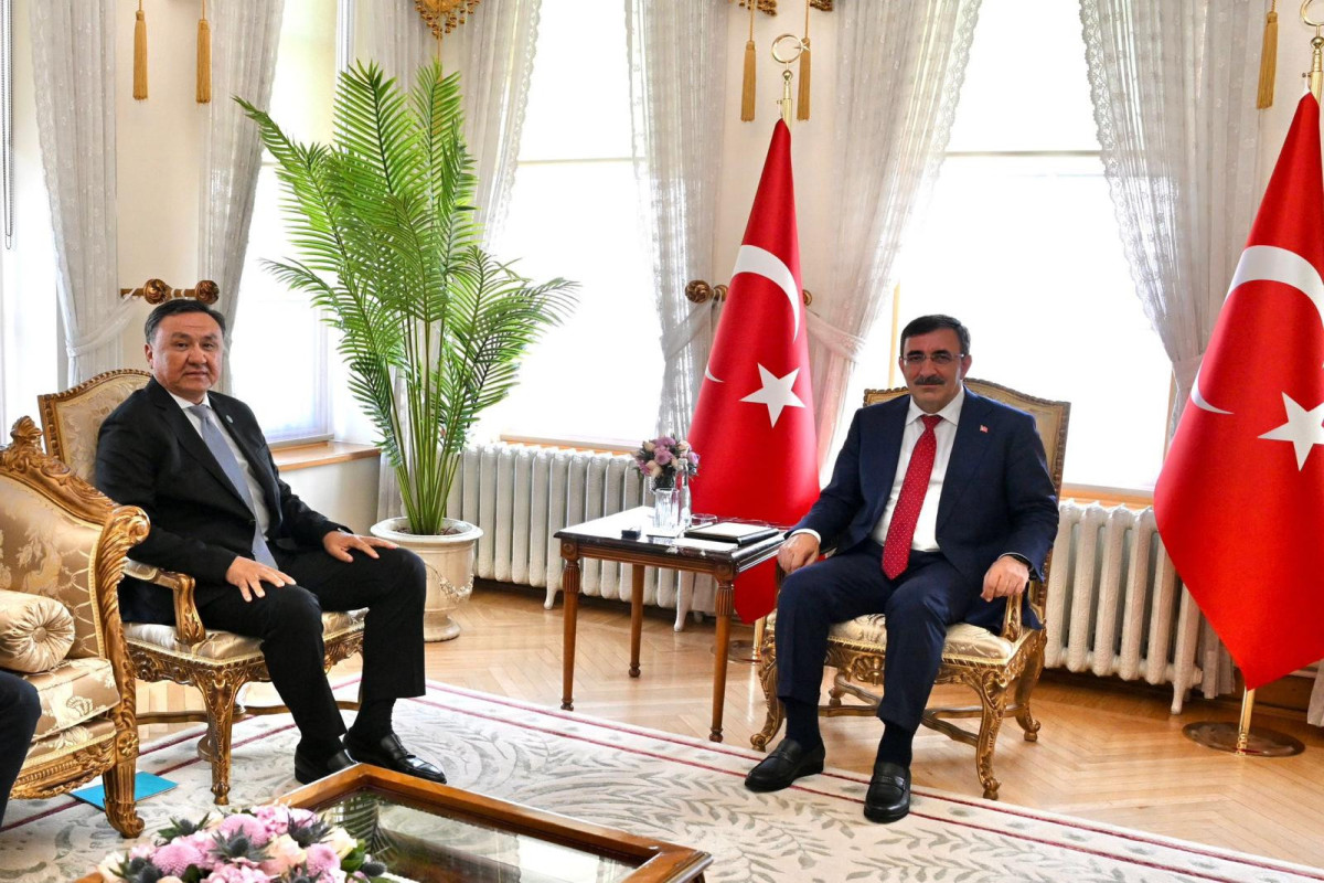 TDT baş katibi vitse-prezidentlə danışıqlar apardı 