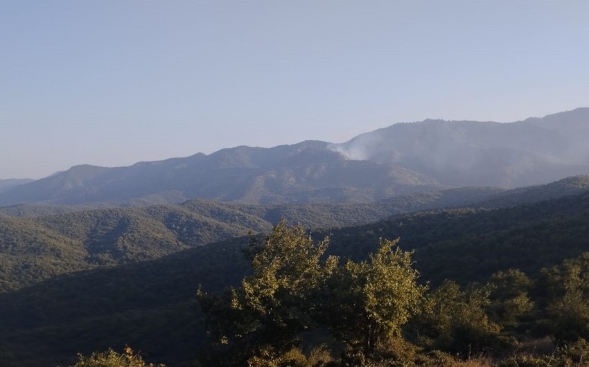 Meşə yanğını törədən şəxs müəyyən edildi