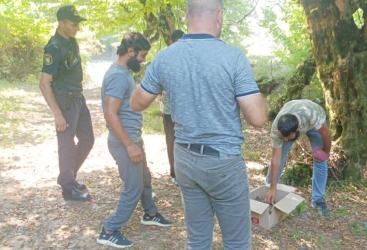 Kirpini kəsib satmaq istədilər, polisə yaxalandılar