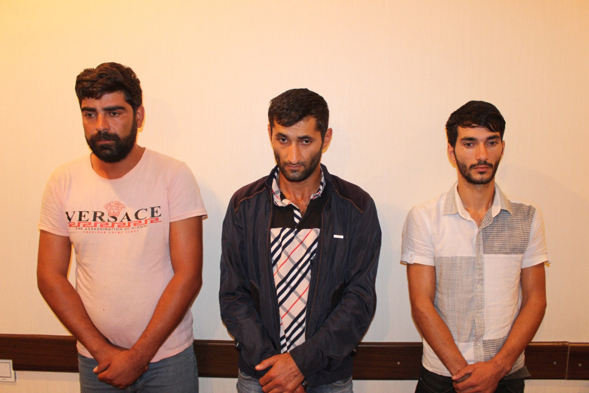 Oğuzda fındıq oğruları tutuldu