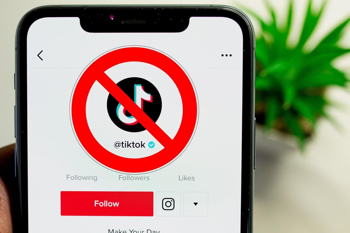 Qırğızıstanda TikTok-a qadağa qoyulur