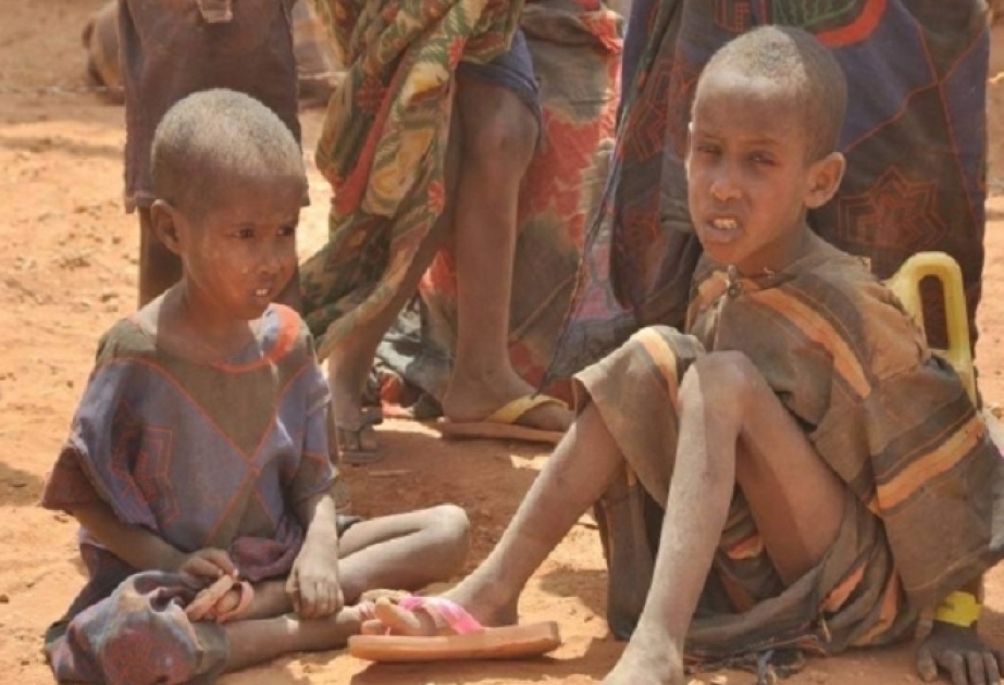 Niger humanitar fəlakət qarşısında