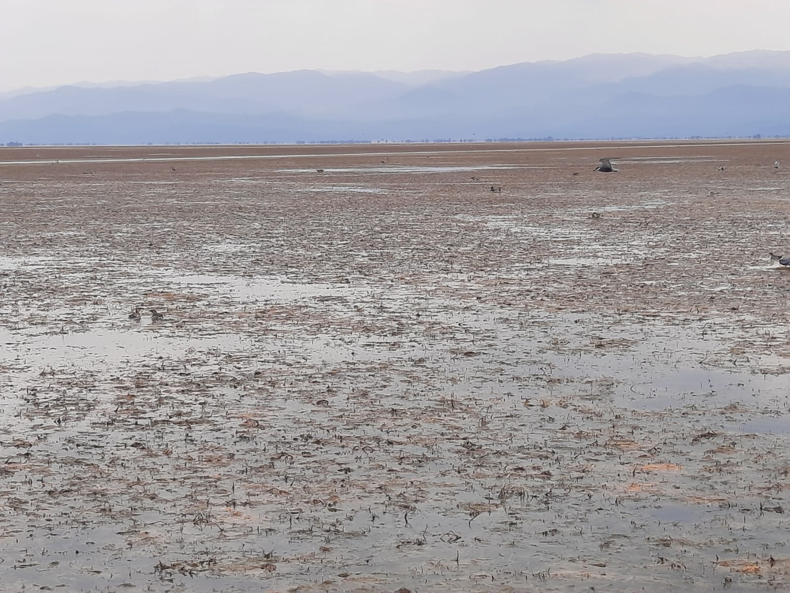 Qızılağac Milli parkının turizm marşrutu - Kiçiki Körfəz