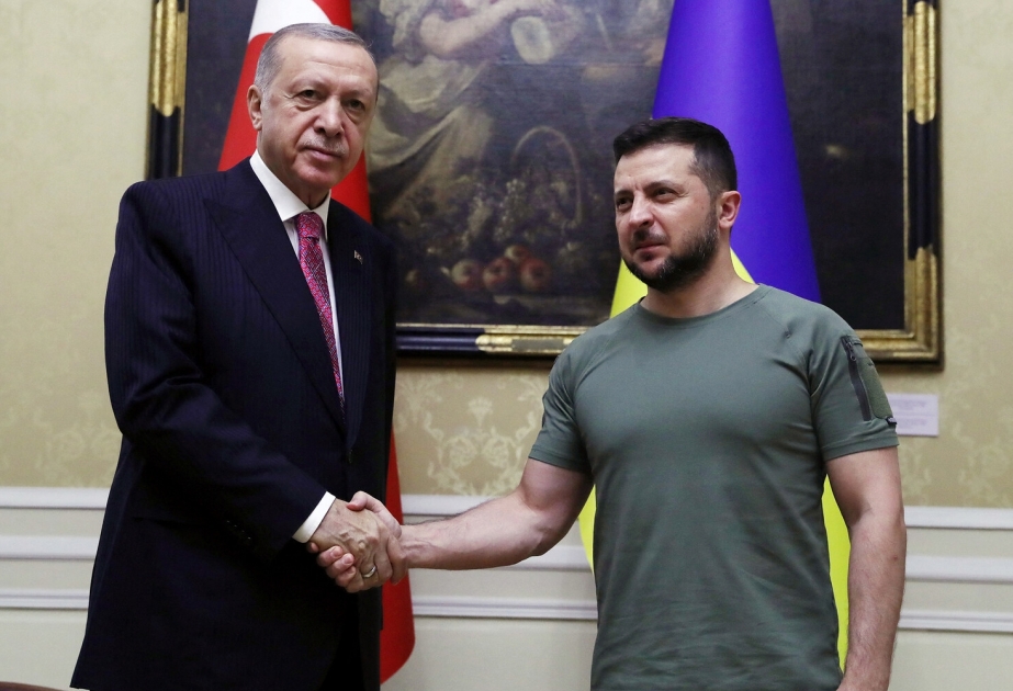 Ərdoğan Zelenski ilə danışacaq