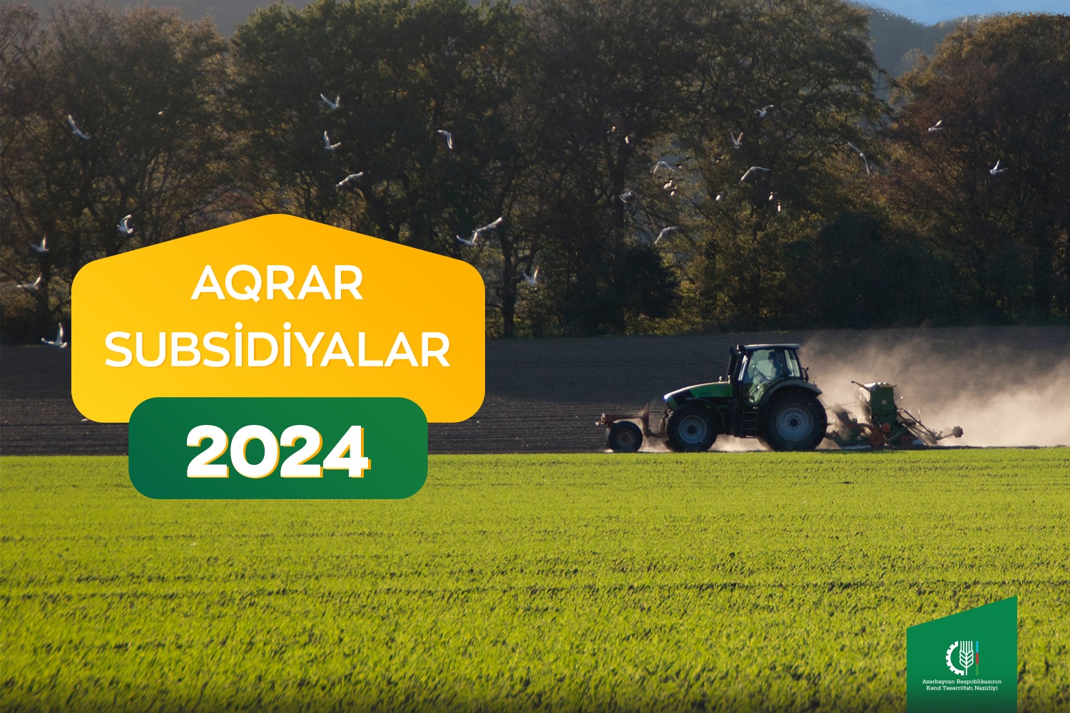 2024-cü il üçün subsidiya əmsalları açıqlandı