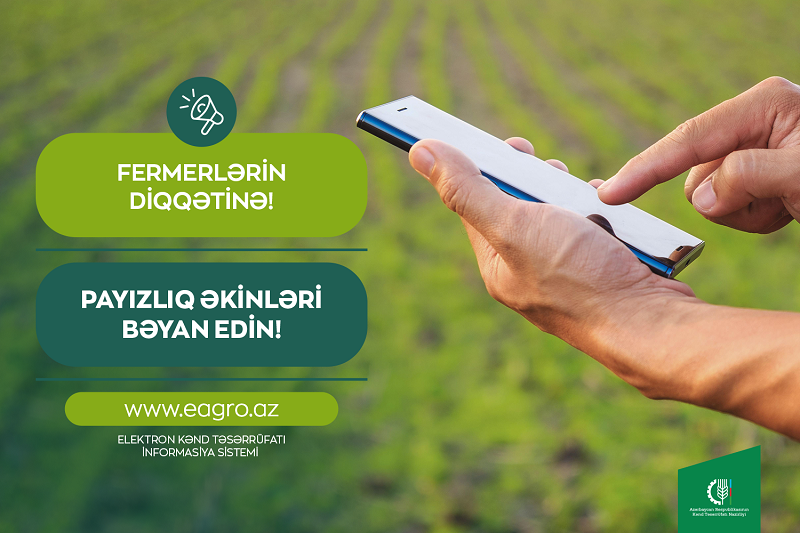 Payızlıq əkinlərin bəyanına başlanıb
