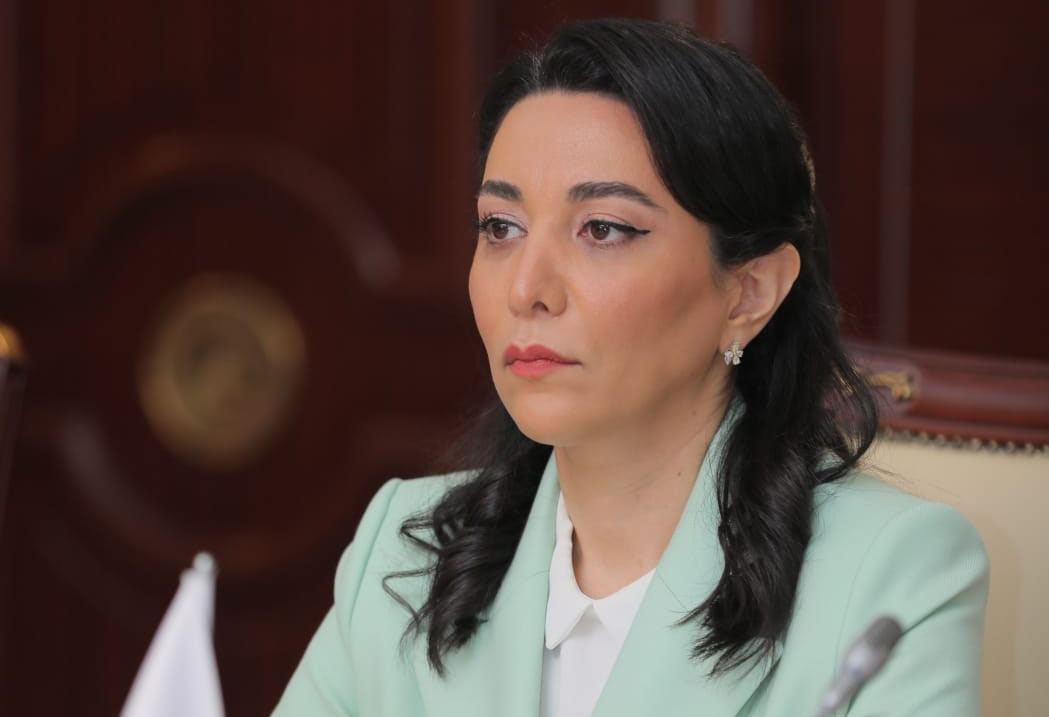 Ombudsman BMT-nin müşaviri ilə görüşdü