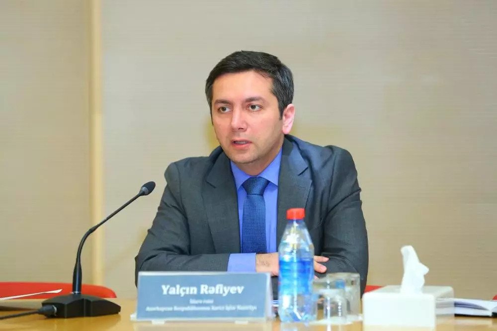 Beynəlxalq təşkilatlarda işə götürülən azərbaycanlıların sayı azdır - Nazir müavini
