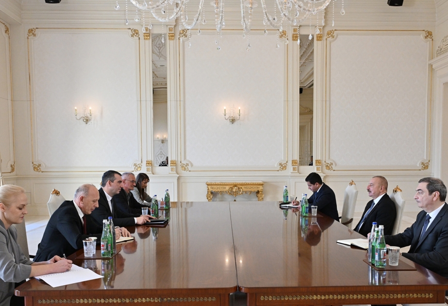 Prezident Vladimir Orliçi qəbul etdi