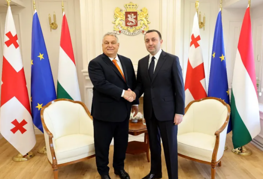 Qaribaşvili və Orban sualtı elektrik kabeli layihəsini müzakirə etdilər