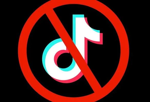 “TikTok”a VPN-lə daxil olanların NƏZƏRİNƏ
