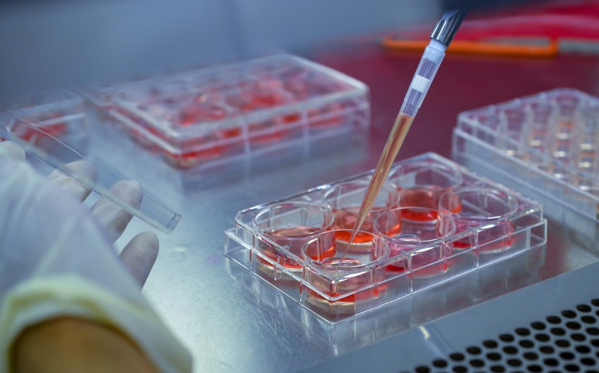 Xərçəng xəstəliyi üçün yeni bioloji preparat yaradıldı