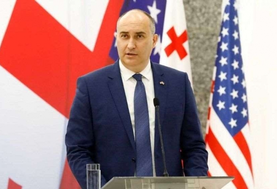 Gürcüstan hərbi təyyarələrini YENİLƏYİB