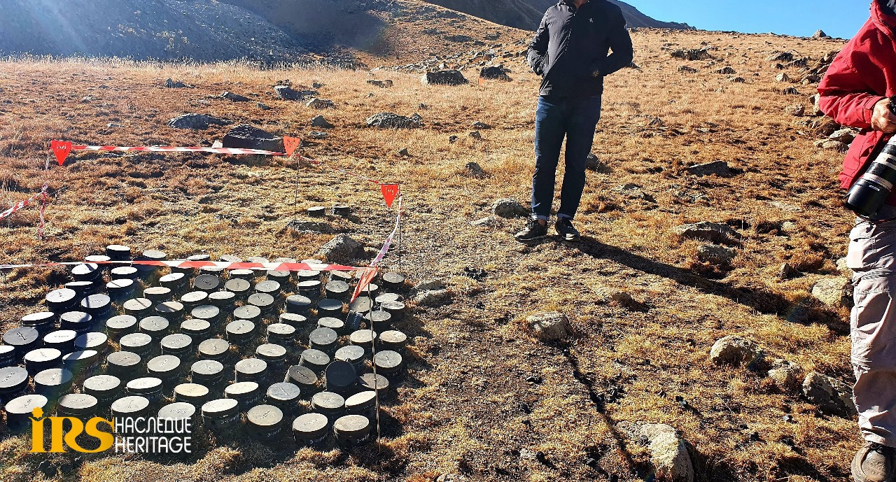 Mina partlayışı nəticəsində ölən ayı balası - FOTO