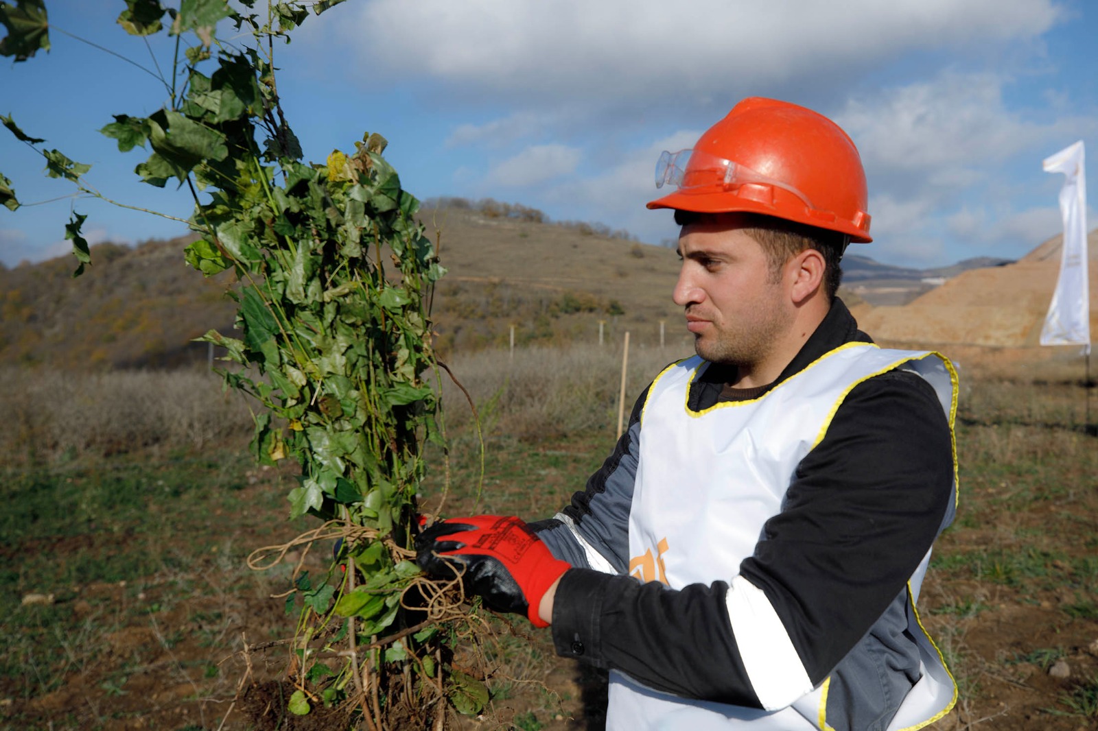 “Çovdar” qızıl mədənində ekoloji layihə icra edilib - FOTO