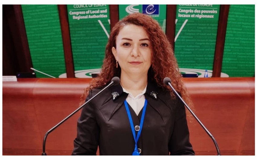 Azərbaycanlı deputat Avropa Şurasının komitəsində 1-ci vitse-prezident seçildi