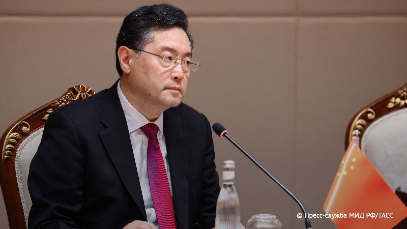 Keçmiş XİN başçısı Dövlət Şurasından xaric edildi