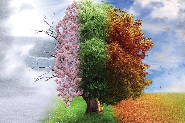 Fəsillərin Azərbaycana daxilolma vaxtları AÇIQLANDI