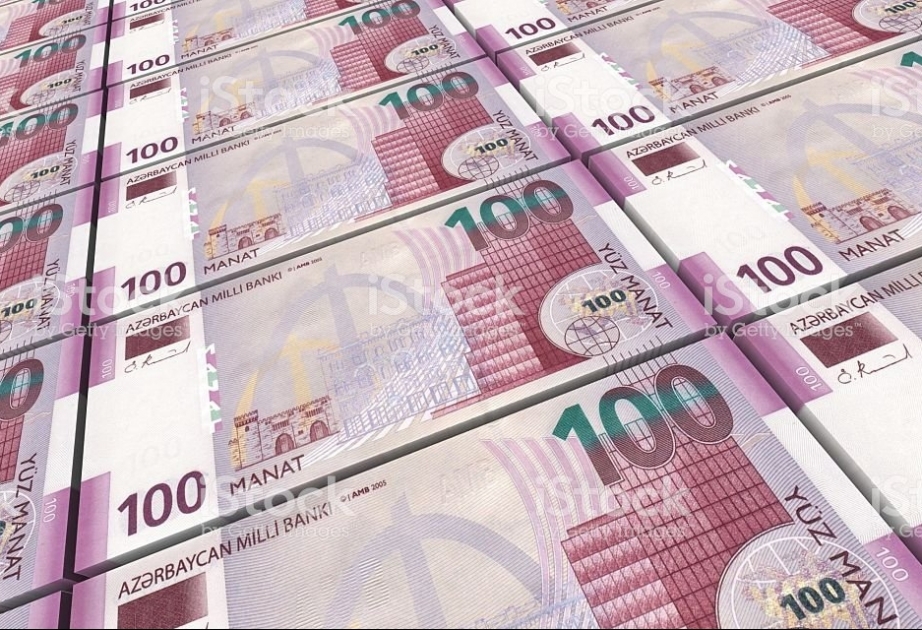 Nazir büdcə gəlirlərinin azalmasının səbəbini AÇIQLADI
