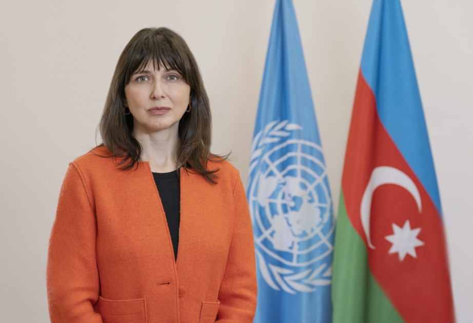 Mina təhlükəsi davamlı inkişafa maneə törədir - BMT rəsmisi