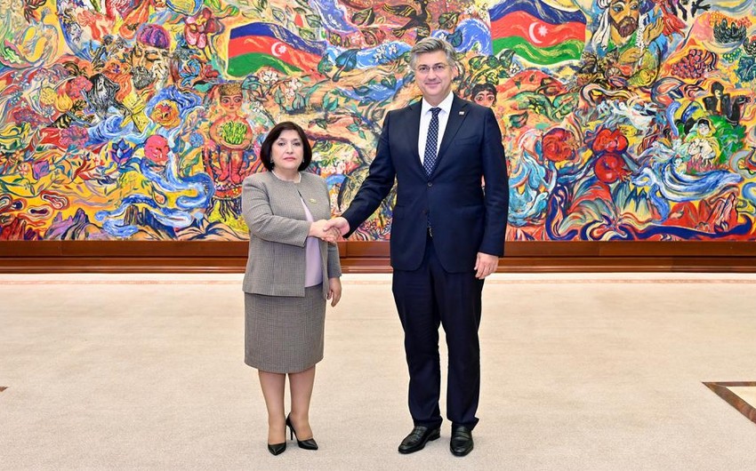 Sahibə Qafarova Baş nazirlə regionu müzakirə etdi