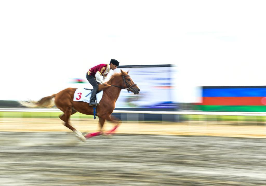 Milli Atçılıq Festivalında iki yarışın qalibləri - SİYAHI