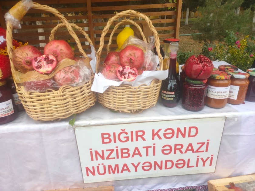Göyçayda Nar Festivalına start verildi - FOTOLAR