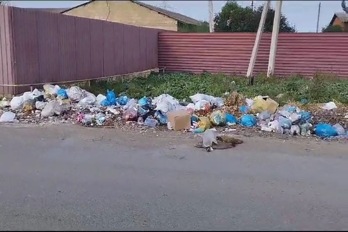 Cəlilabadda ətrafı mühiti çirkləndirənlər cərimələndi